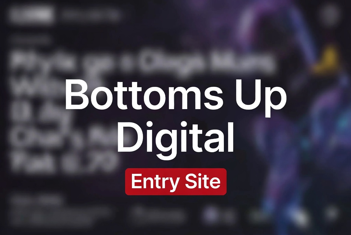 Entry Tier: Your Affordable Path to Professional Digital Presence